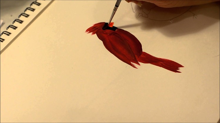 Learn How to Paint a Cardinal bird