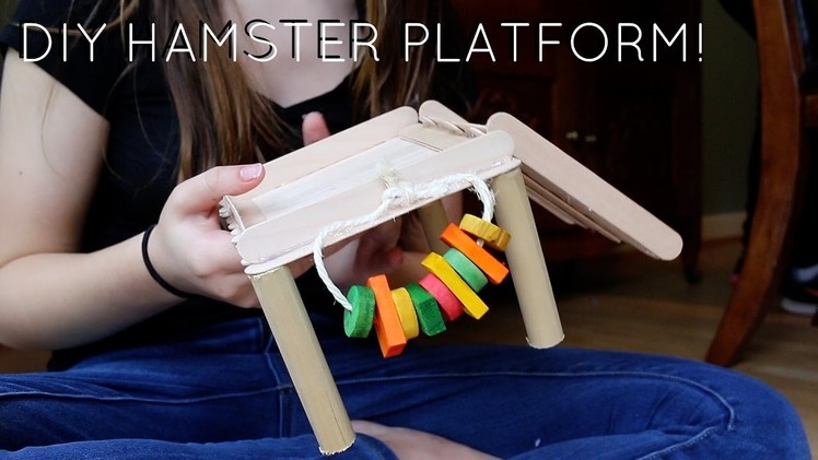 DIY HAMSTER PLATFORM! | brookeallysonxo