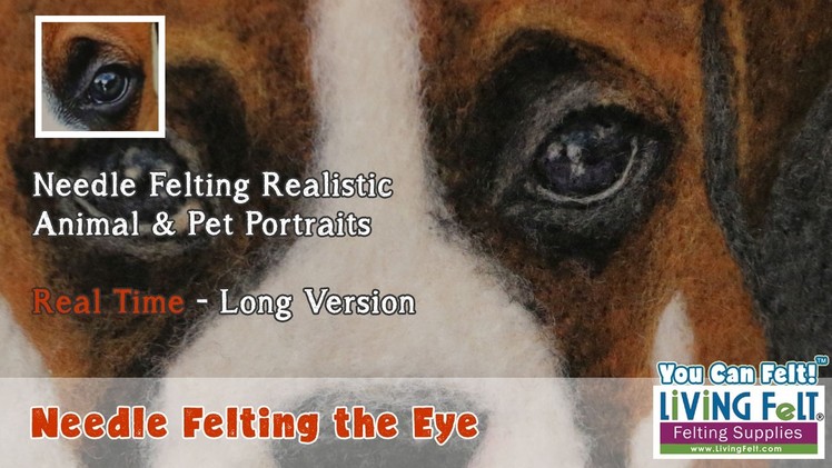 How to Needle Felt 2D Realistic Dog Animal & Pet Portrait PART 1: Needle Felting the Eye - Real Time