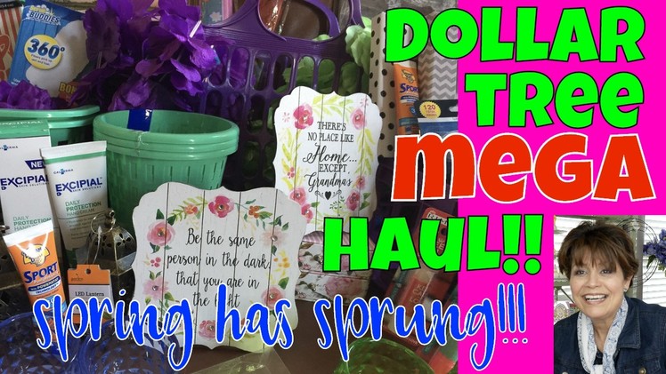 ???????????? MEGA DOLLAR TREE HAUL - GIGANTOR! NEW NEW NEW Do-it-Yourself DollarTree Stuff Let's Do This!!
