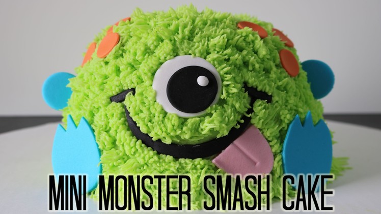 Mini Monster Smash Cake!