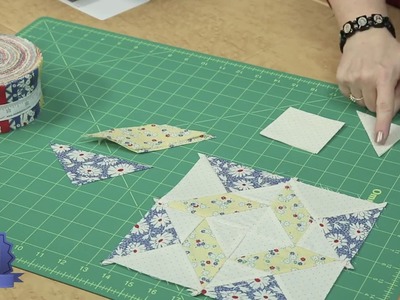 Quilting Quickly - Twister