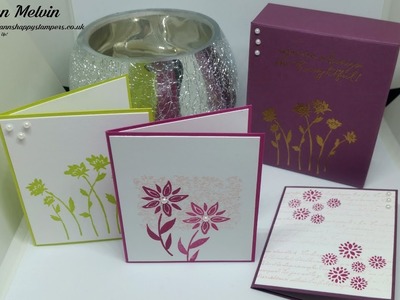 #5 New Catalogue Week, Gorgeous Teeny Tiny Note Cards & Matching Gift Box