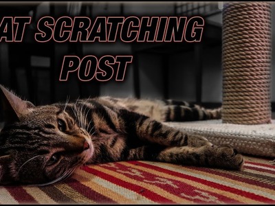 DIY Cat Scratching Post. Super Cheap And Easy!!