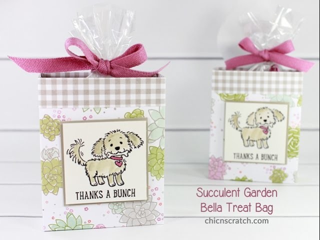 Facebook Friday #16 - Succulent Garden Bella Treat Bag