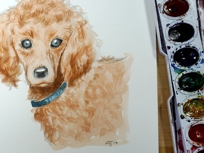 How to draw and paint a dog (Poodle) with watercolor