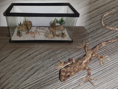 How to make a Miniature Lizard and Cave