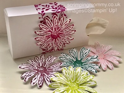 In colour festival 7 boxed tissues Stampin' Up! products