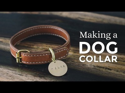 Making a Leather Dog Collar ⧼Week 1.52⧽