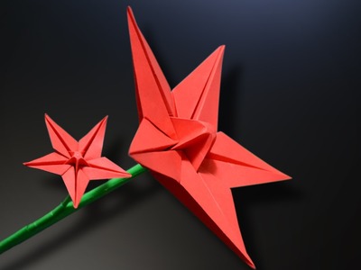 Origami: Star Flower - Instructions in English (BR)