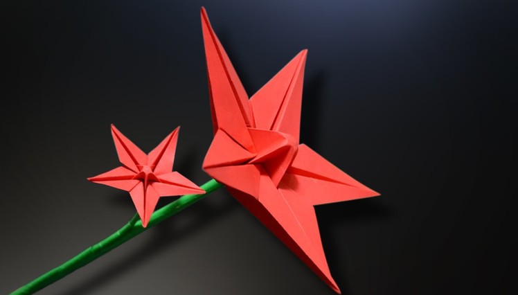Origami: Star Flower - Instructions in English (BR)