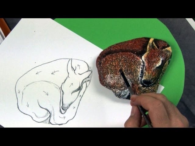 Art Lesson: How to Paint a Beautiful Deer on a Rock