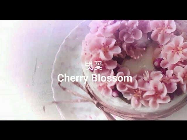 앙금플라워 벚꽃 Cherry Blossom beanpaste flower