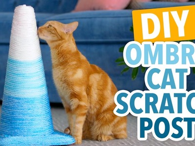 DIY Ombré Cat Scratching Post - HGTV Handmade