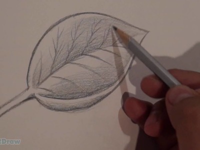 How to Draw & Shade a Leaf (Sketching Practice Tutorial)