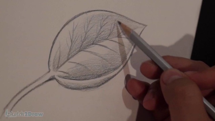 How to Draw & Shade a Leaf (Sketching Practice Tutorial)