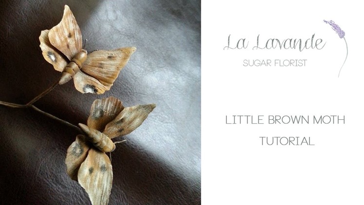 How to make Gumpaste Little Brown Moth Tutorial - La Lavande Sugar Florist