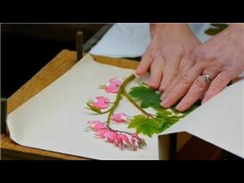 Spring Flower & Vegetable Care : How to Press Fresh Cut Flowers to Keep
