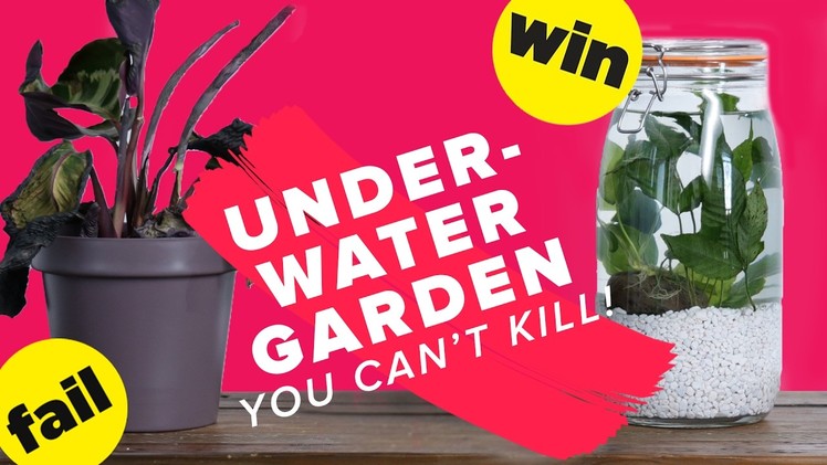Underwater Garden You Can't Kill