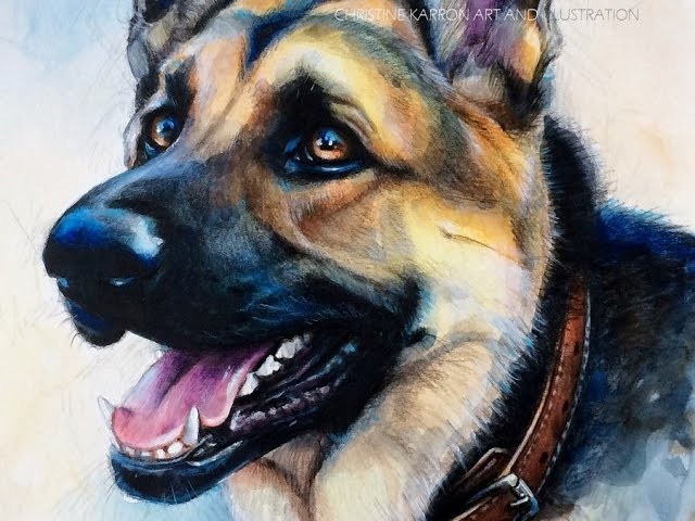 Watercolor and Colored Pencil GSD SPEED PAINTING by Ch.Karron