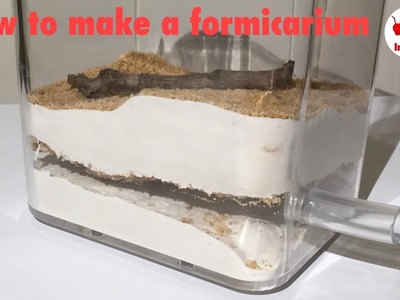 How To Make A Formicarium