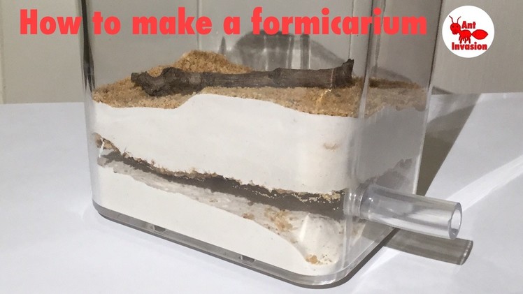 How To Make A Formicarium