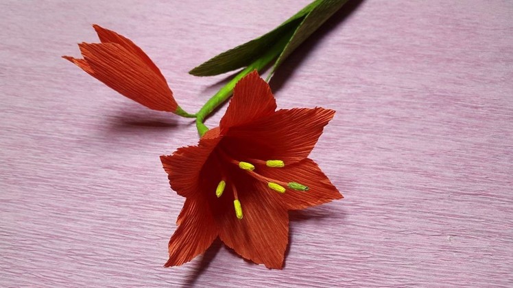How to Make Amaryllis Paper flowers | Flower Making of Crepe Paper | Paper Flower Tutorial