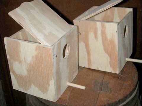 How to make nesting boxes Best Budgie Breeding Box in urdu hindi