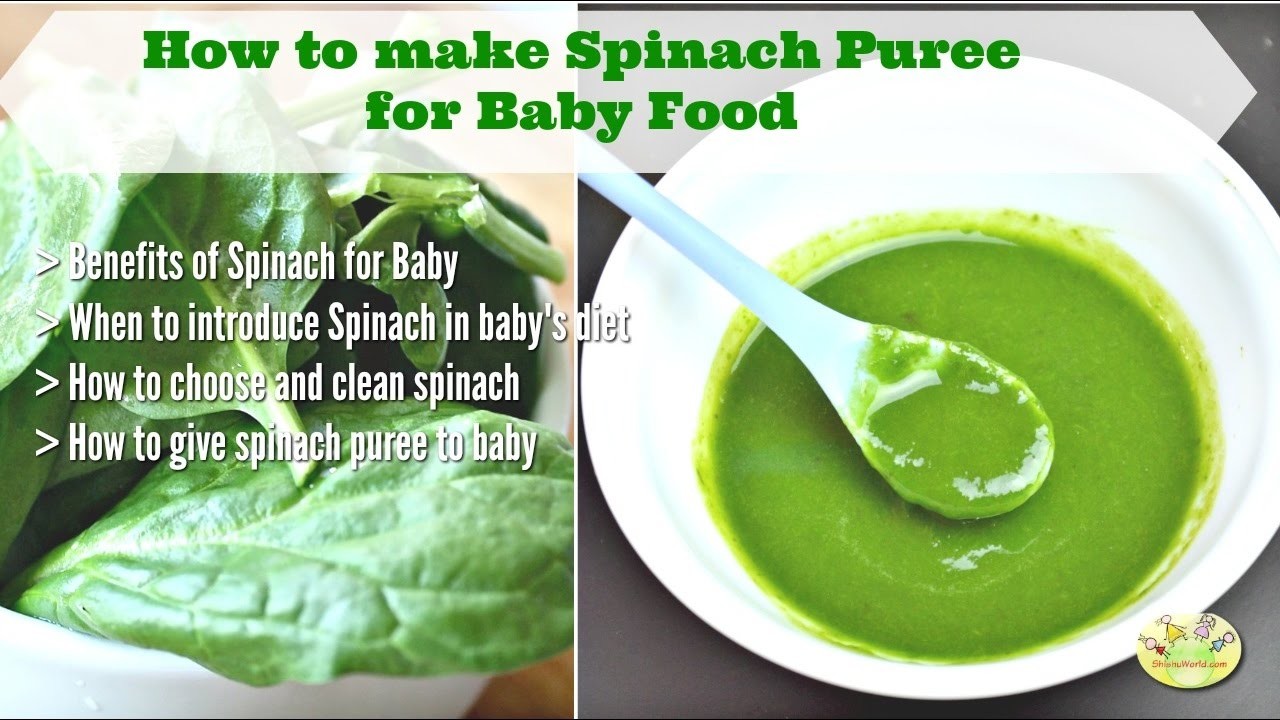 how-to-make-spinach-puree-for-baby-benefits-of-spinach-for-baby-9-month