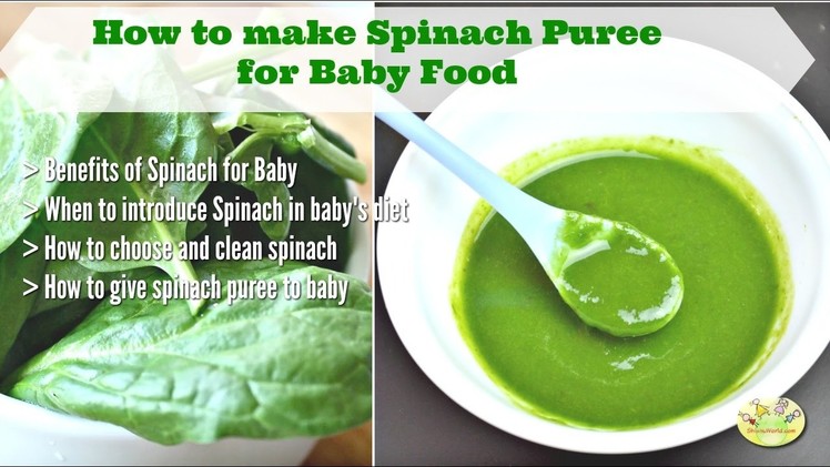How to make spinach puree for baby| Benefits of Spinach for Baby (9 month+)