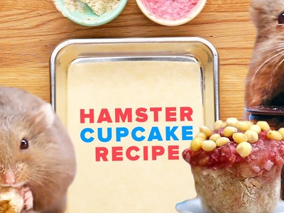 How To Make Tiny Cupcakes For Your Hamster