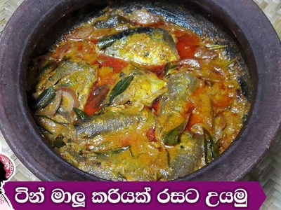 ටින් මාලු කරියක් රසට උයමු | How to make a delicoius tin fish curry by Apé Amma