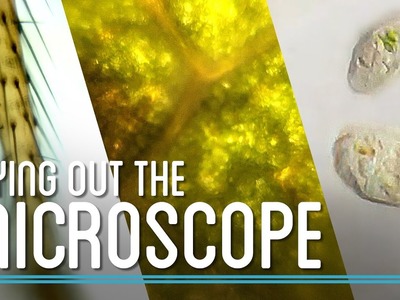 Trying Out the Microscope | How to Make Everything: Microscope