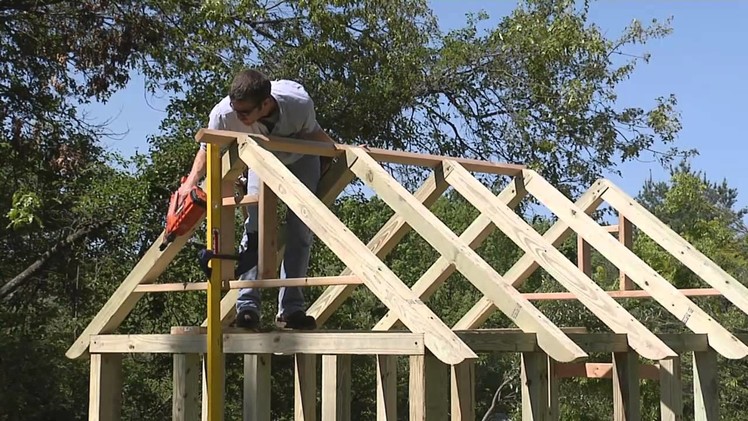 Build a Garden Shed - Roof Framing