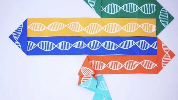 DNA Origami: How do you fold a genome?