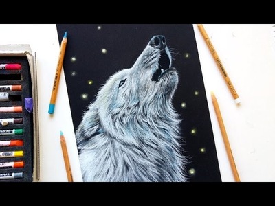 Drawing a white wolf with pastel pencils | Leontine van vliet
