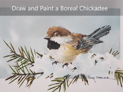 How to draw and paint a Chickadee. Dry brush watercolour and Ink techniques. Peter Sheeler