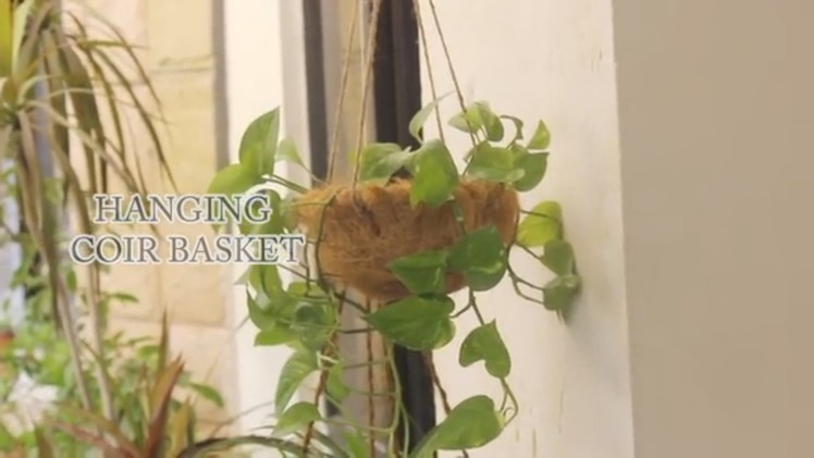 How to Make a Hanging Coir Basket - DIY Recycled Craft