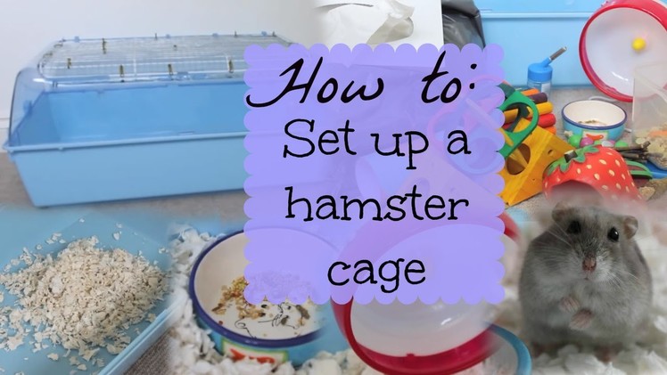 How to: SET UP A HAMSTER CAGE | Hamster HorsesandCats