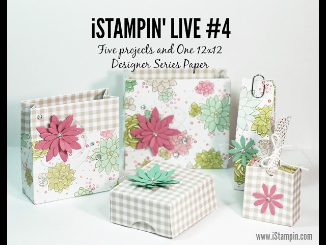 IStampin' Live #4 | Bags Boxes from One 12x12 Stampin' Up! DSP
