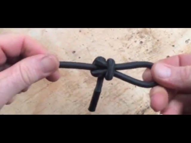 Loop knot for bungy cord