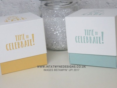Birthday Extravaganza - Celebration Time Cupcake Box