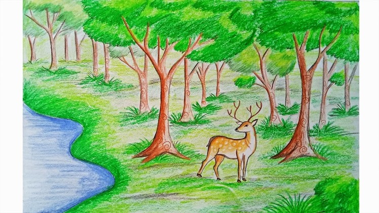 How to draw forest scene Step by step (very easy)