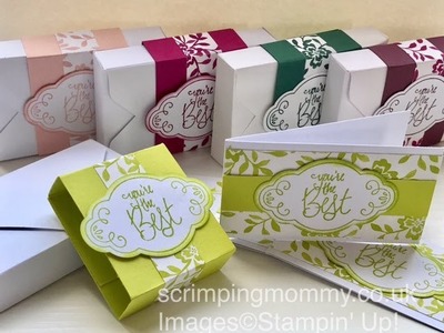 In colour festival day 3 of 7 mini note cards Stampin' Up! products