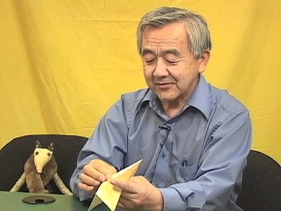 Interview With Origami Master Henry Kaku