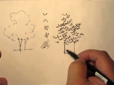 Mike Lin: How to draw trees with a pen