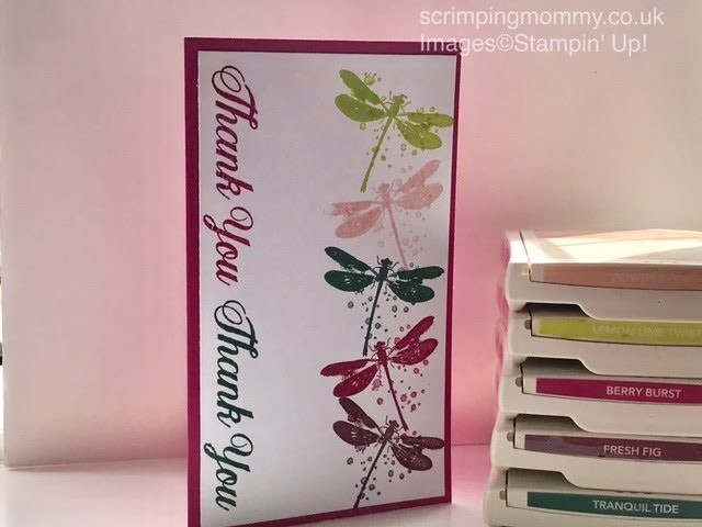 New Stampin' Up! In colours festival seven projects back to back Stampin' Up! products