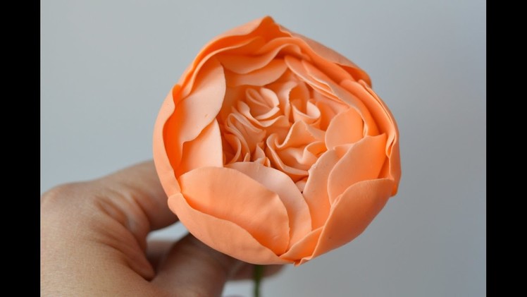 Part 1 Creating the David Austin Cabbage Rose Center in Gum Paste Sugar