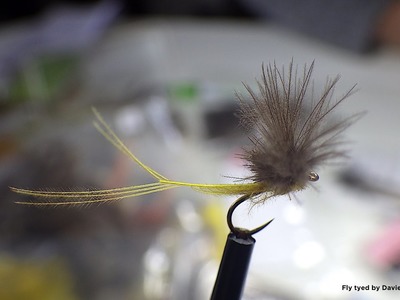 Tying a CDC Hatchmaster Dry Fly with Davie McPhail