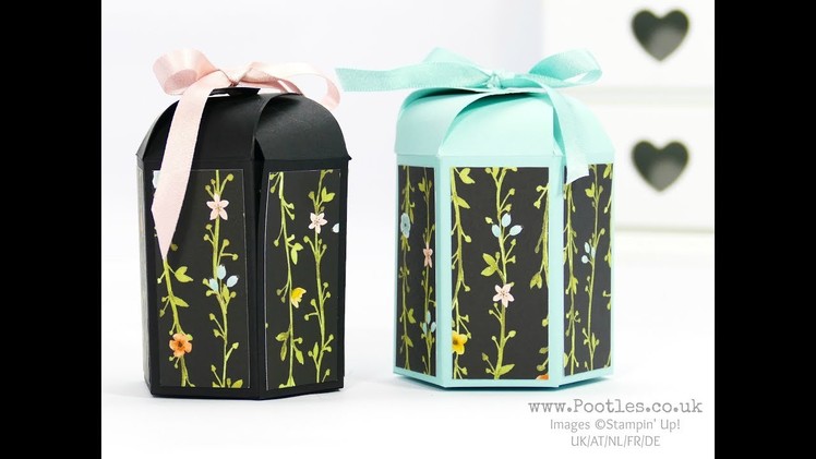 Whole Lot of Lovely Hexagonal Box with Cute Close Top
